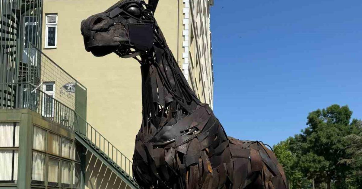 duzce universitesinde cevre dostu sanat 1mwUMPdU.jpg