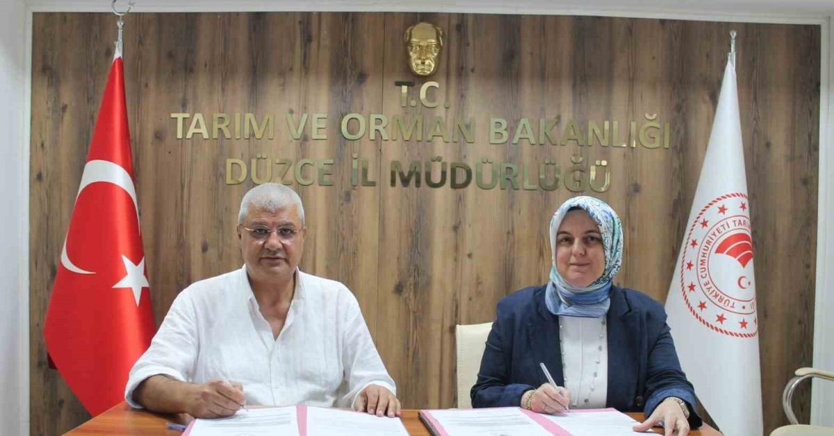 duzcede findik tesisine 7 milyon tl hibe destegi 8qkBJi4A.jpg
