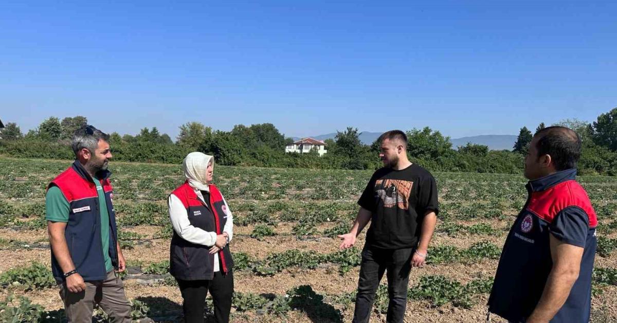 duzcede genc ciftciden ornek basari 71eE4uLd.jpg