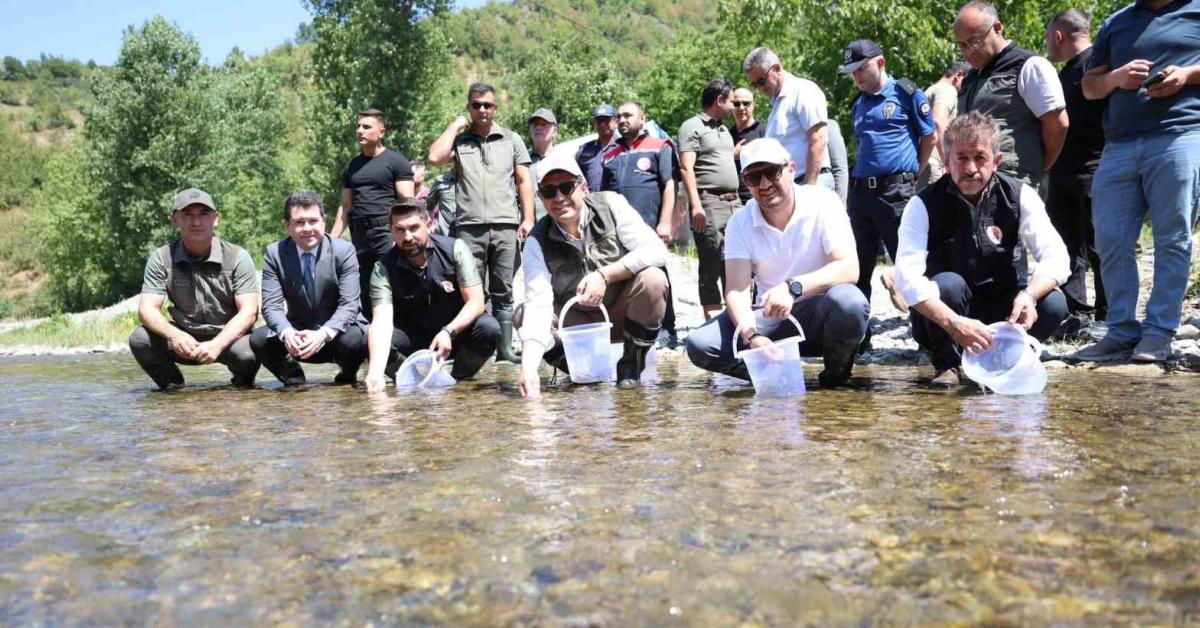 duzcede onbinlerce benekli alabalik dereye birakildi TRR2NvNz.jpg