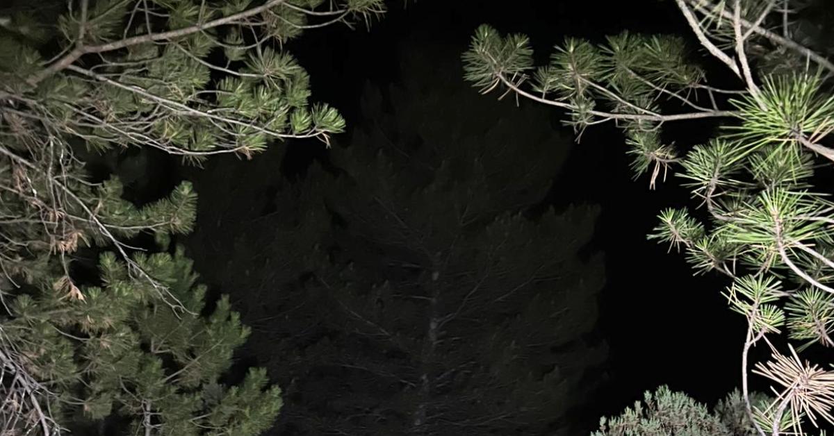karabuk safranboluda kayaliktan yere cakildi Rj3vT15d.jpg