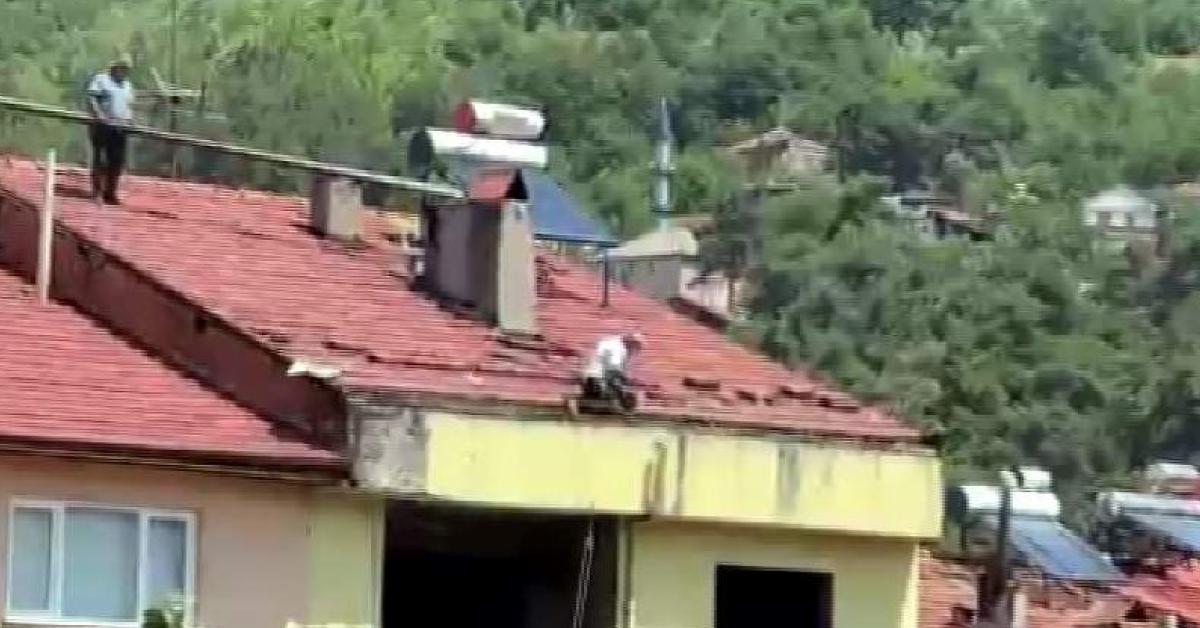 karabuk yenicede yurekleri agza getirdiler x21kQMgY.jpg