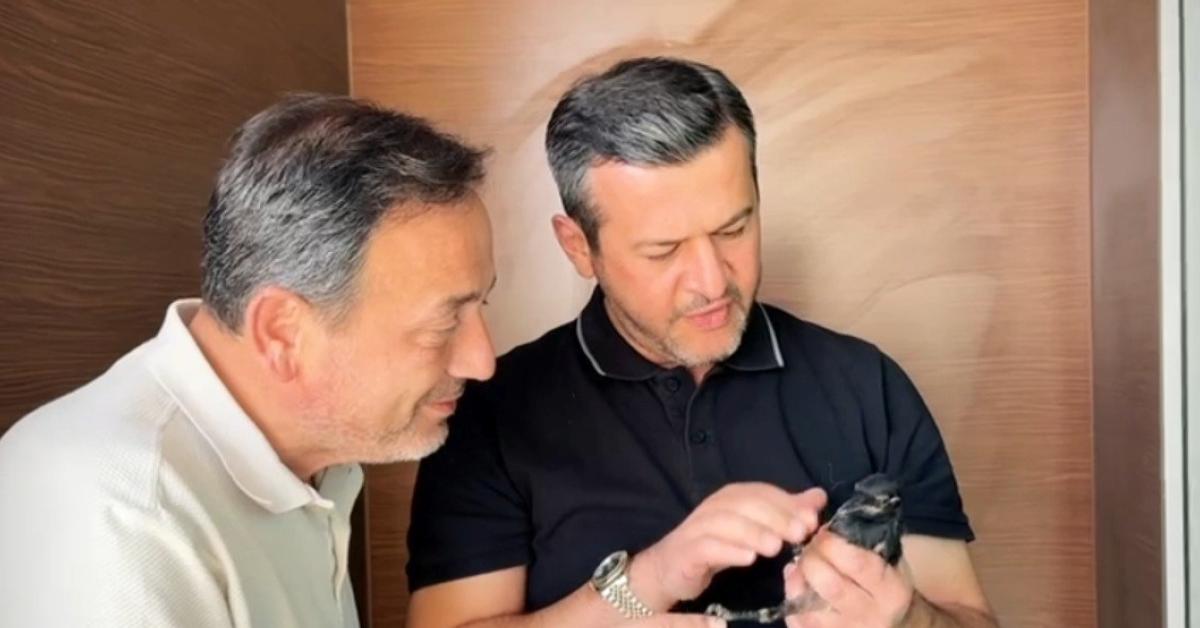 karabukte yangindan kurtarilan saksagan yavrusu koruma altina alindi UHVPJOs4.jpg