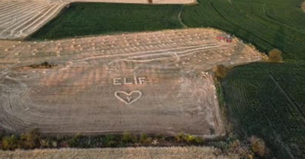 kastamonuda ciftci askini tarladan haykirdi D1aTiMGu.jpg