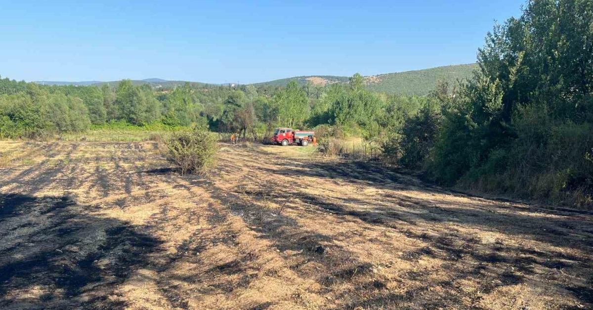 kastamonuda devrilen agac elektrik tellerini koparinca orman yangini cikti xnBH1hyJ.jpg
