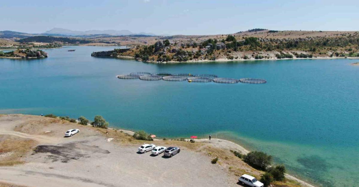 kastamonuda kafes yirtilinca halk akin etti eJQDja8T.jpg