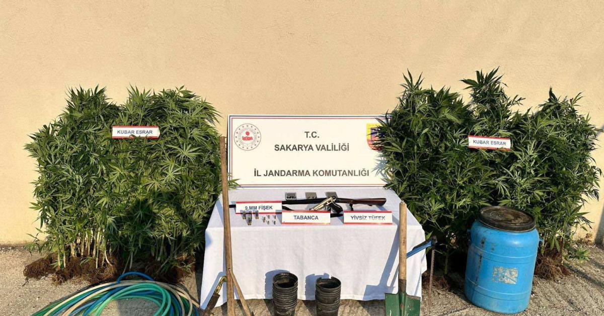 sakarya hendekte kenevir yetistiren supheli tutuklandi 1lOEuq4K.jpg