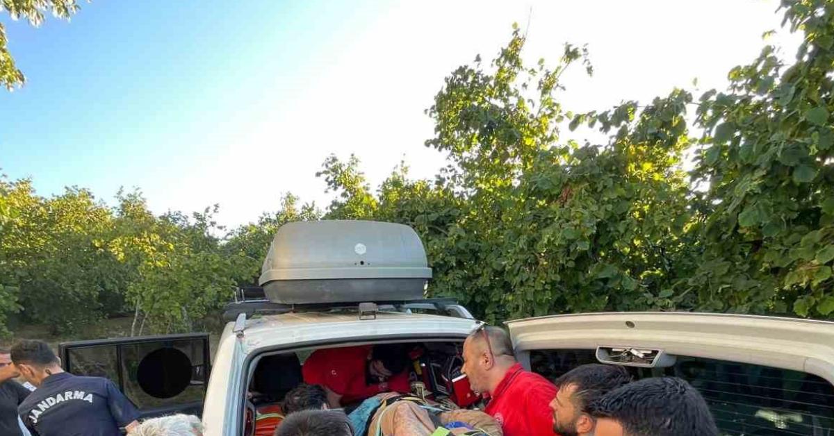 sakaryada findik tarlasinda dereye dusen kisi kurtarildi VynMjfYj.jpg