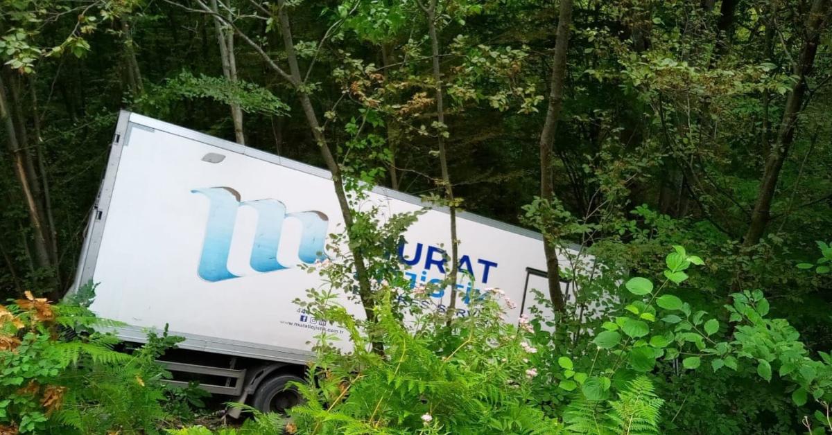 sinop ayancik yolunda trafik kazasi kargo araci ormanlik alana devrildi F5bl29KV.jpg