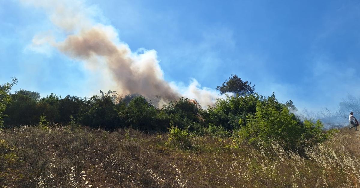 zonguldakta findiklikta yangin cikti qbryyCJO.jpg