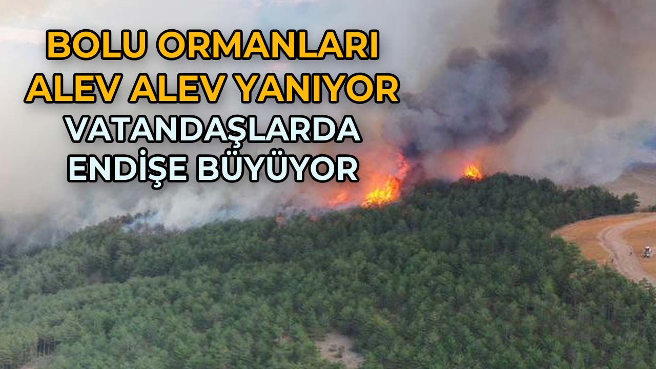 Bolu Ormanları Alev Alev Yanıyor Vatandaşlarda Endişe 2Büyüyor