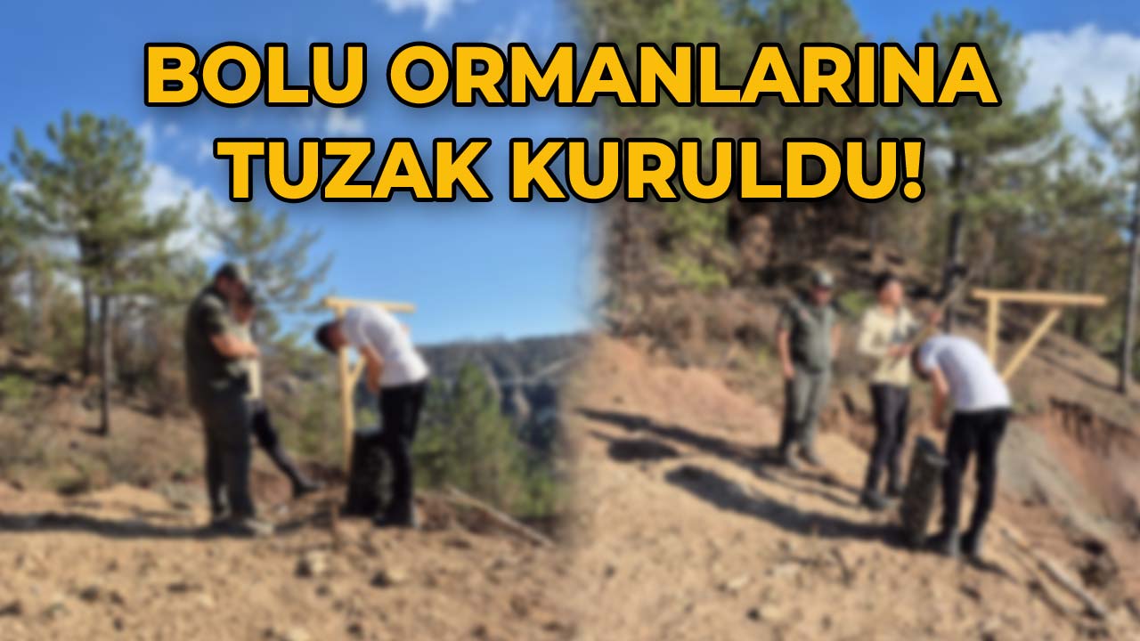 Bolu Ormanlarına Tuzak Kuruldu!2