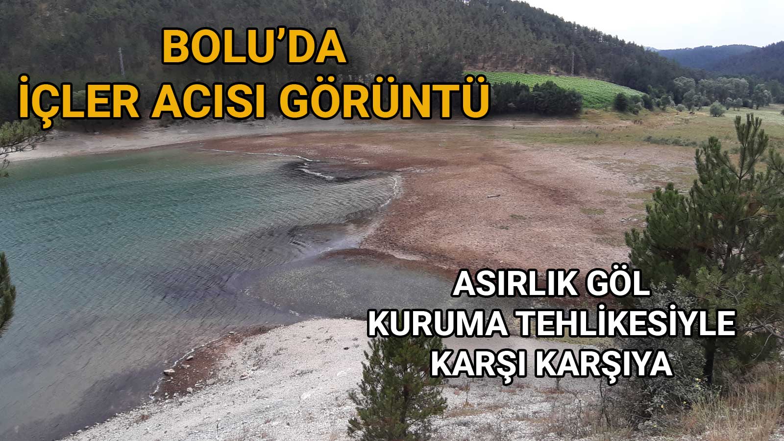 Bolu’da Doğanın Kalbi Sessizce Sönüyor 2