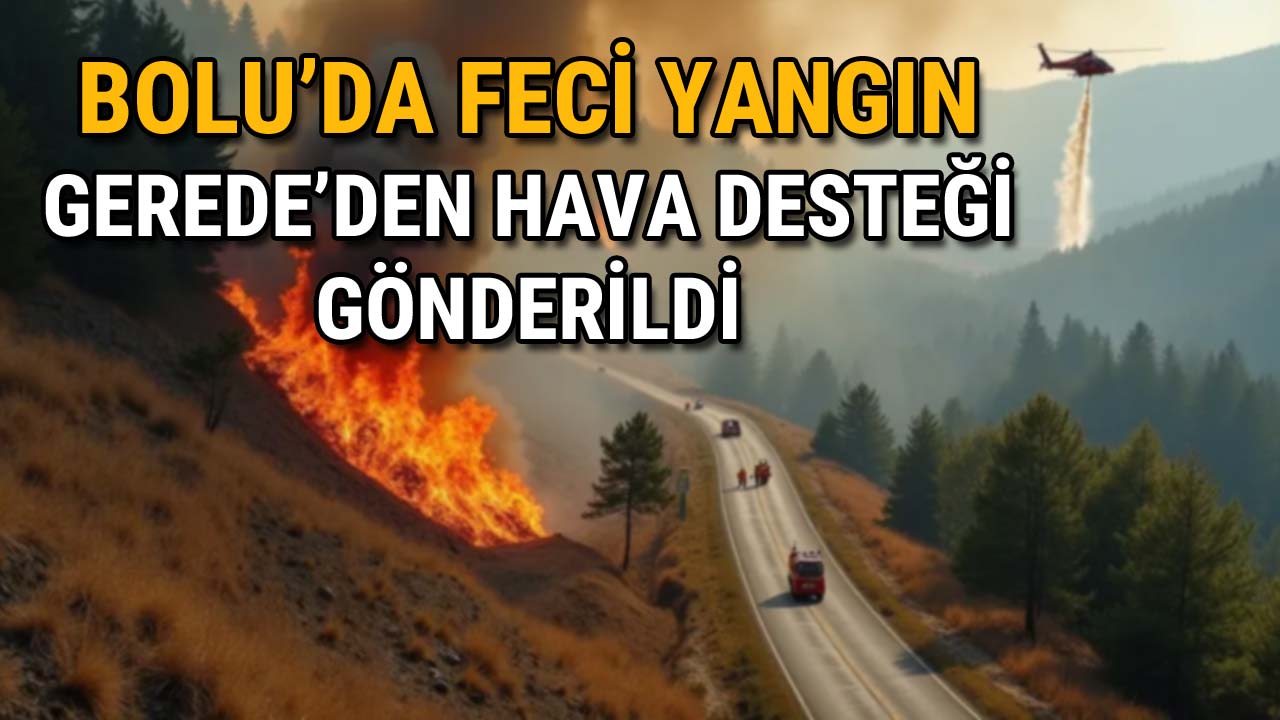 Bolu'da Feci Yangın Gerede'den Hava Desteği Gönderildi