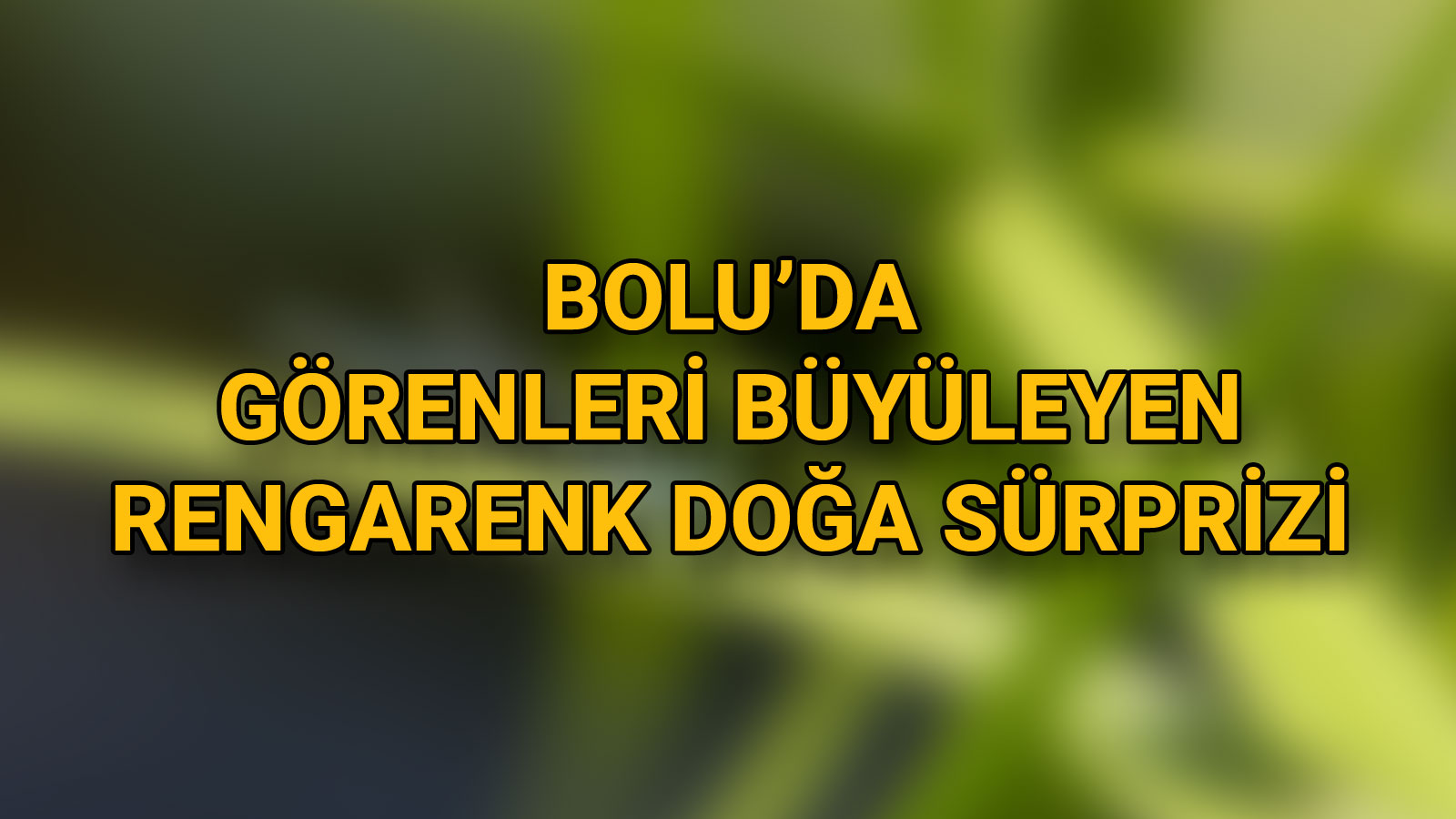 Bolu’da Görenleri Büyüleyen Rengarenk Doğa Sürprizi