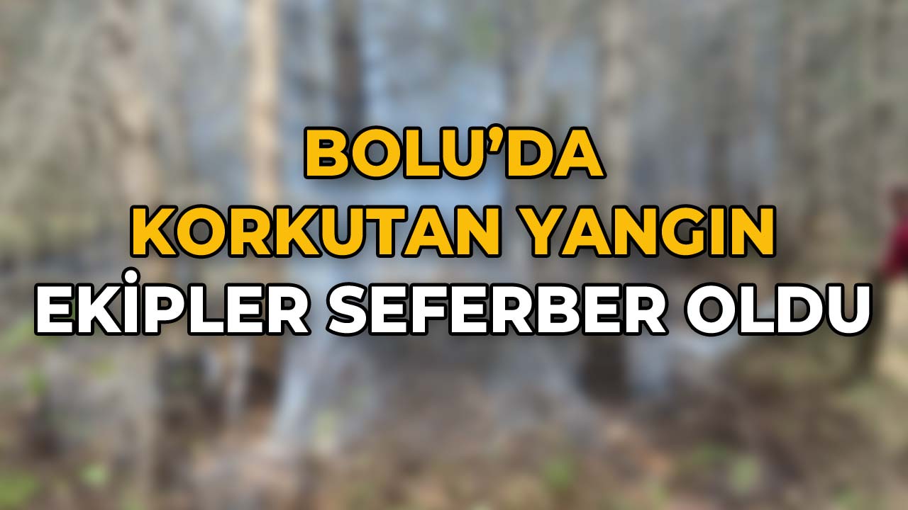 Bolu'da Korkutan Yangın Ekipler Seferber Oldu