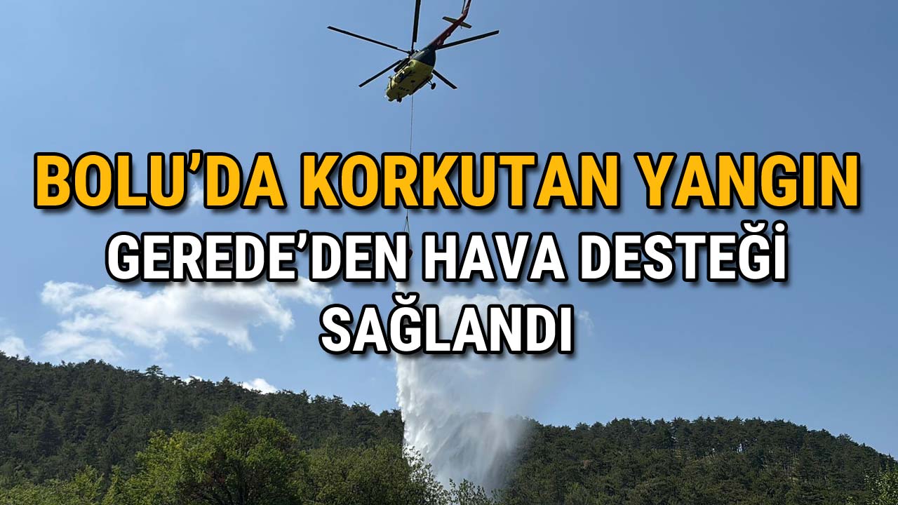 Bolu'da Korkutan Yangın Ekipler Seferber Oldu