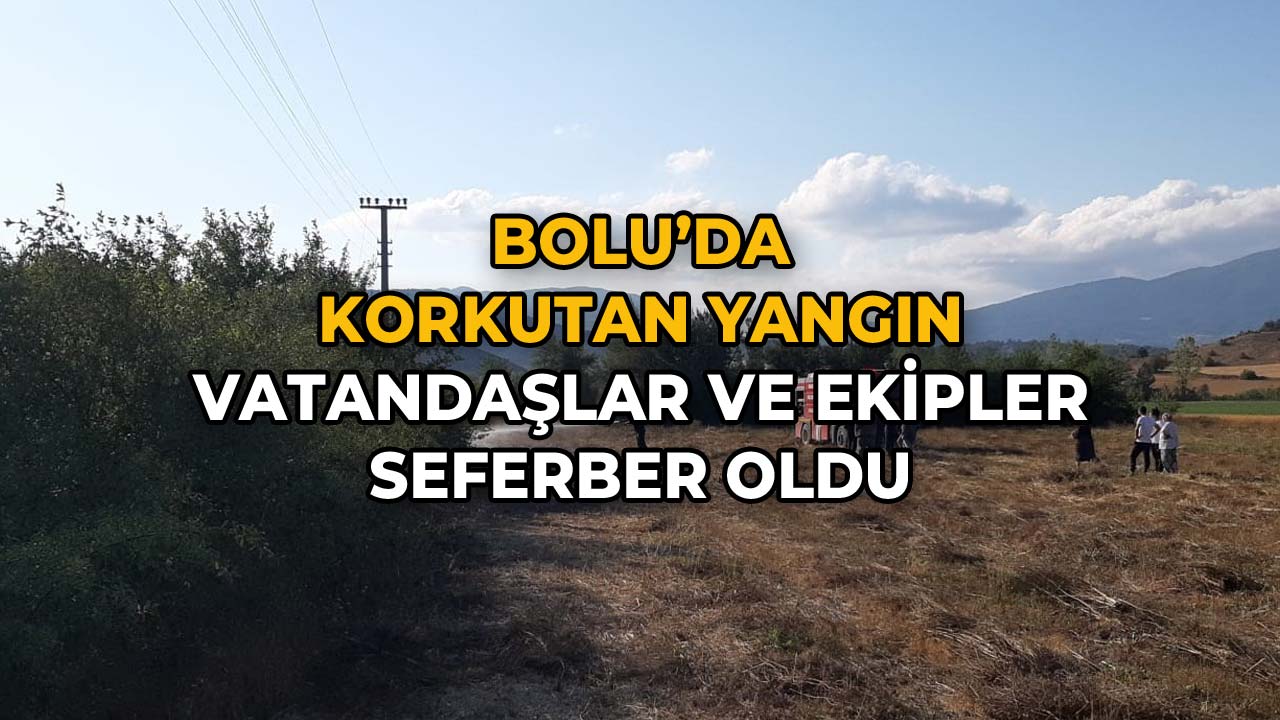 Bolu'da Korkutan Yangın Vatandaşlar ve Ekipler Seferber Oldu