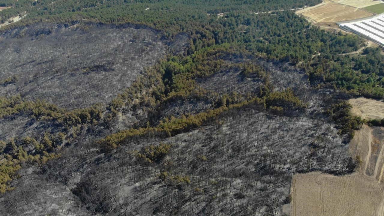 Bolu’da Orman Yangınında Acı Bilanço Hasar Büyük