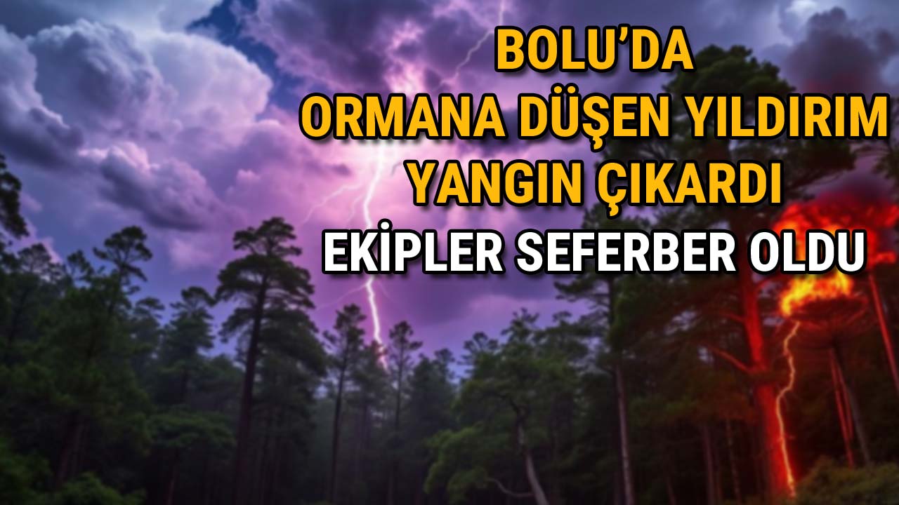 Bolu'da Ormana Düşen Yıldırım Yangın Çıkardı Ekipler Seferber Oldu