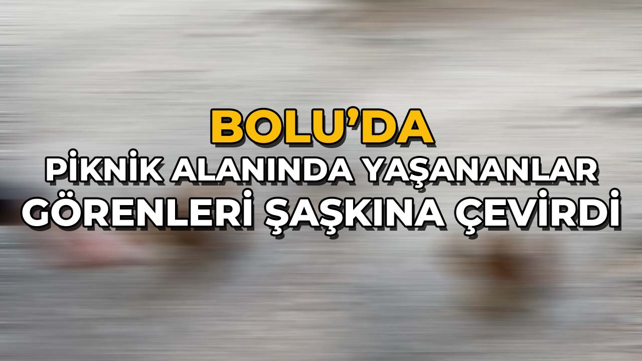 Bolu’da Piknik Alanında Yaşananlar Görenleri Şaşkına Çevirdi!
