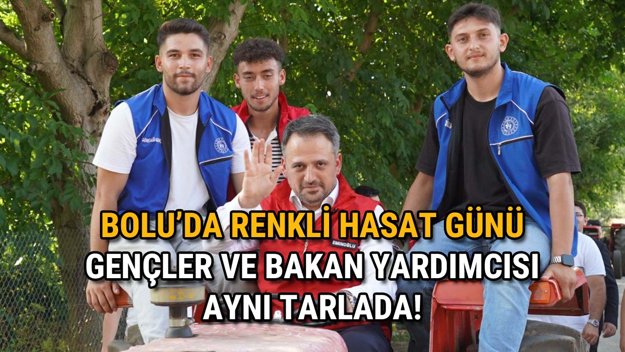 Bolu’da Renkli Hasat Günü Gençler ve Bakan Yardımcısı Aynı Tarlada