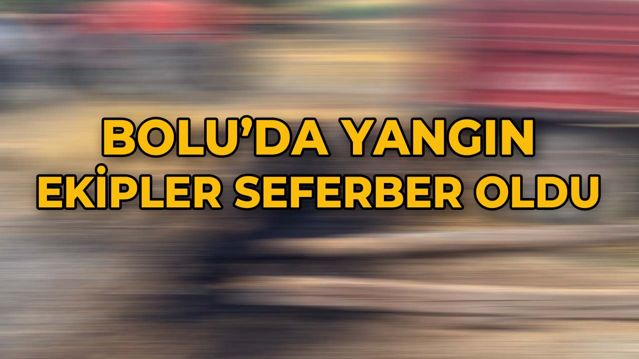 Bolu'da Yangın Ekipler Seferber Oldu