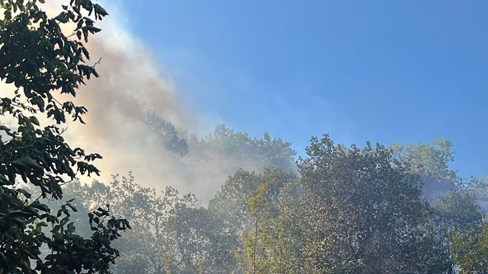 Bolu'da Yangın Paniği