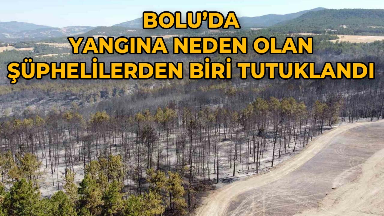 Bolu’da Yangına Neden Olan Şüphelilerden Biri Tutuklandı