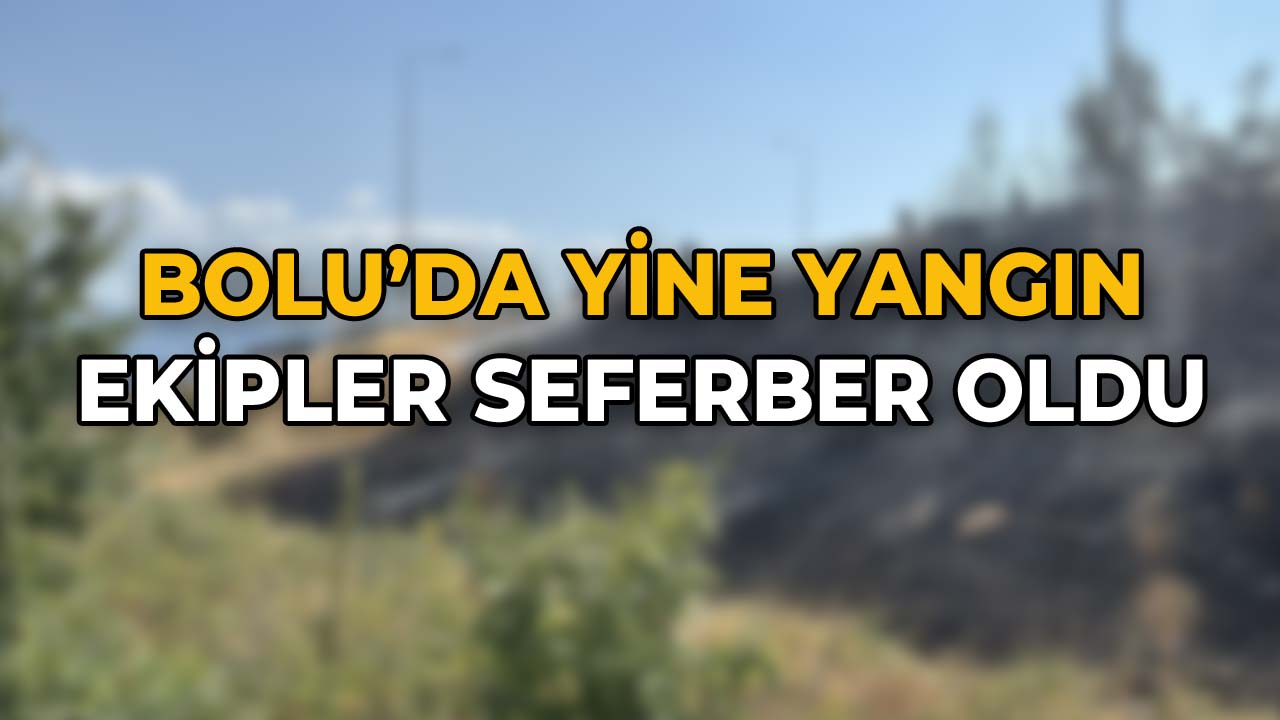 Bolu'da Yine Yangın Ekipler Seferber Oldu
