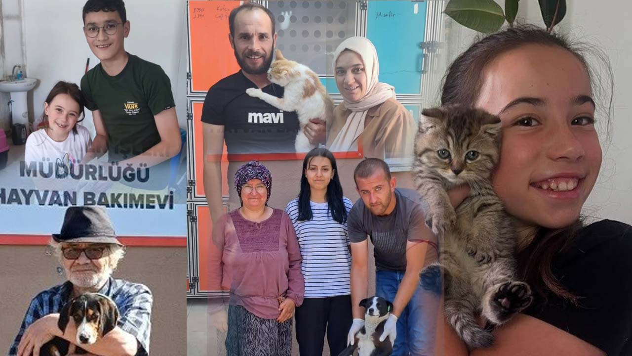 Bolu’da Yürek Isıtan Anlar Sokak Hayvanları Sıcak Yuvaya Kavuştu