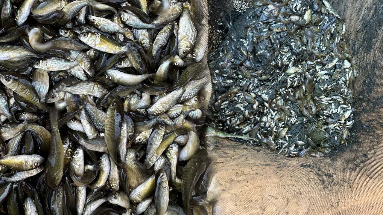 Bolu’dan 9 Şehre Büyük Katkı56