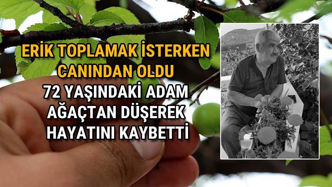 Erik Toplamak İsterken Canından Oldu 72 Yaşındaki Adam Hayatını Kaybetti 2