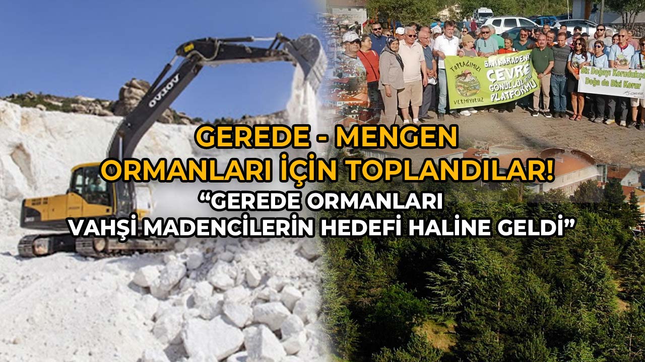 Gerede Mengen Ormanları İçin Toplandılarİşg3alcilere Teslim Etmiyoruz
