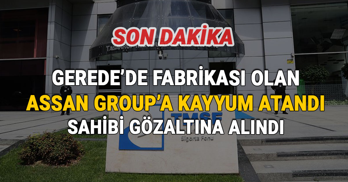 Gerede'de Fabrikası Olan Assan Group'a Kayyum Atandı, Sahibi Gözaltında