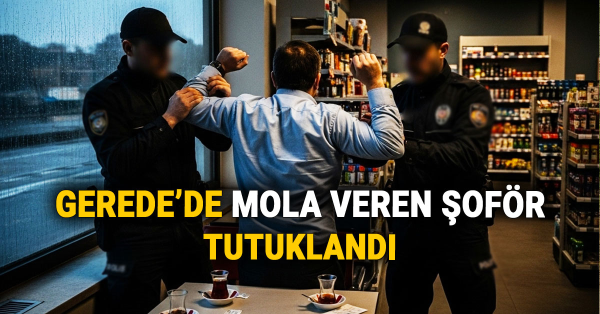 Gerede'de Mola Veren Şoför Tutuklandı