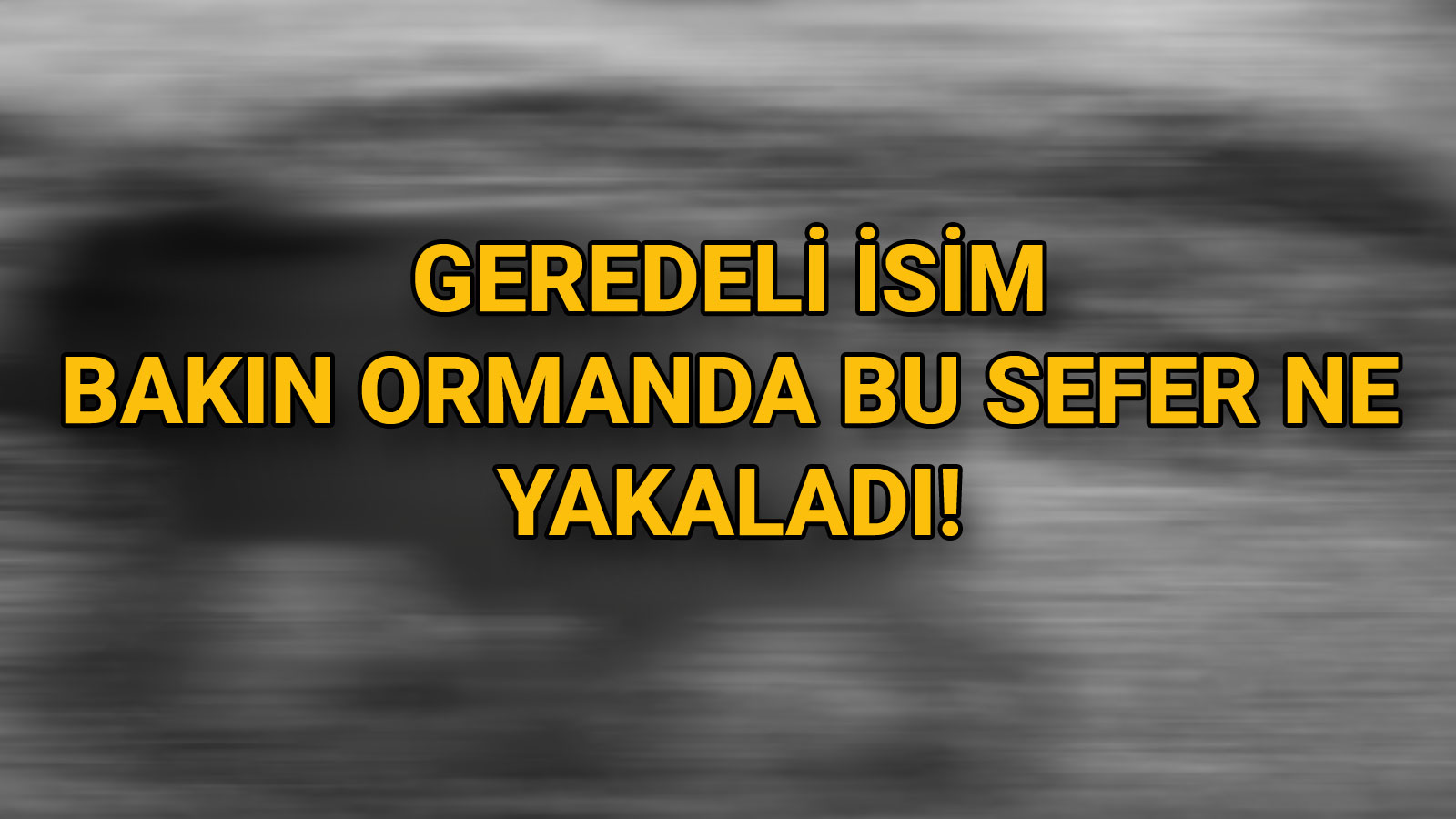 Geredeli İsim Bakın Ormanda Bu Sefer Ne Yakaladı