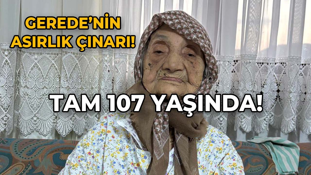 Gerede’nin Asırlık Çınar Tam 107 Yaşında