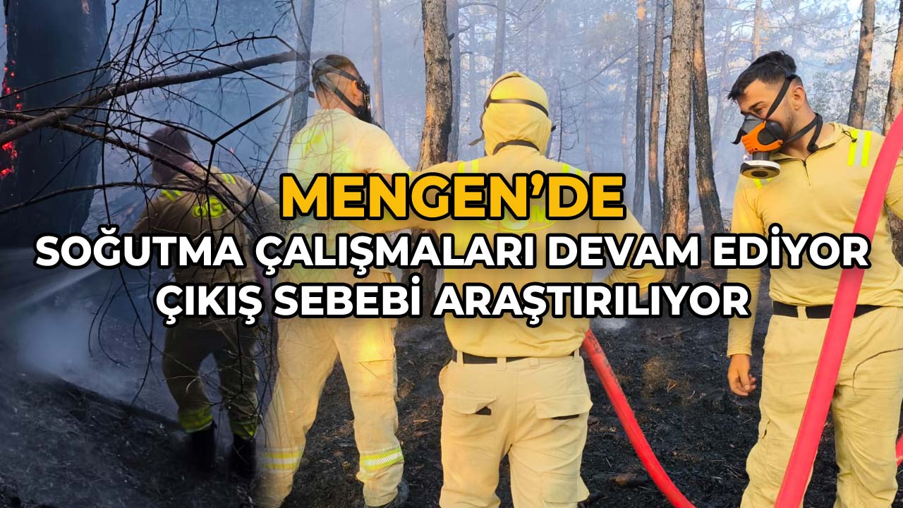 Mengen’de Soğutma Çalışmaları Devam Ediyor Çıkış Sebebi Araştırılıyor