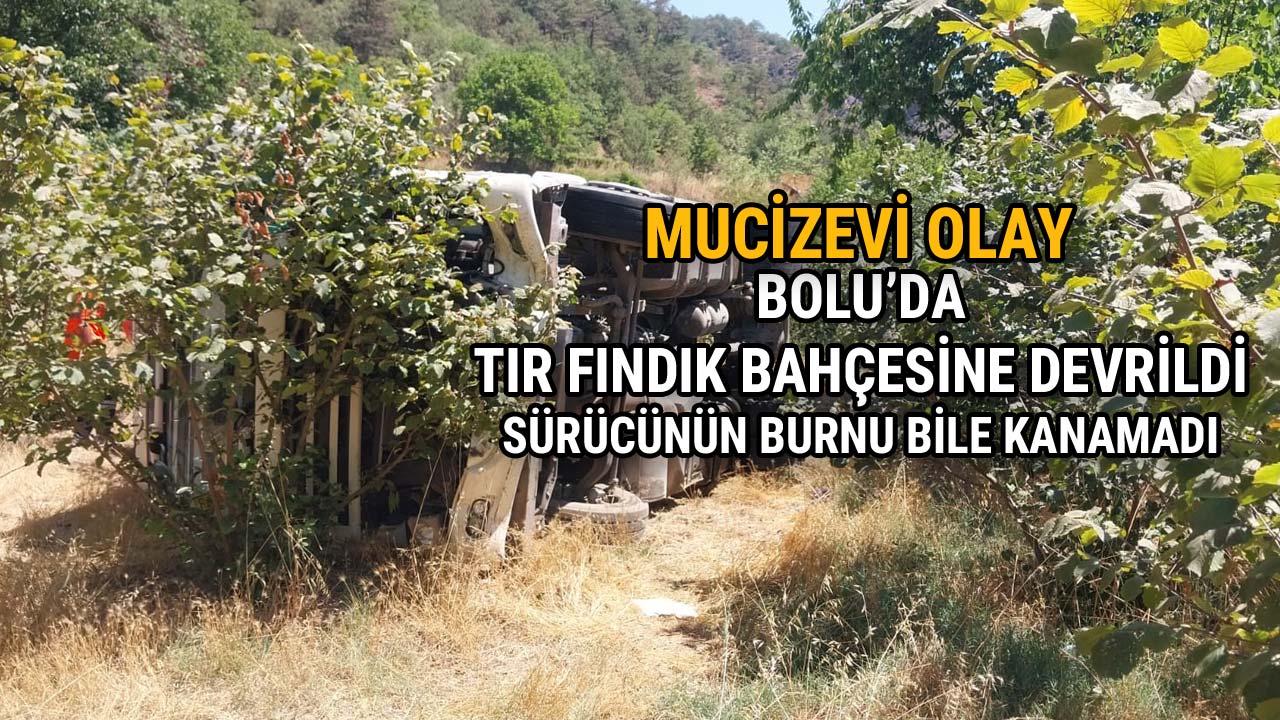 Mucizevi OlayBolu'da Tır Fındık Bahçesine Devrildi
