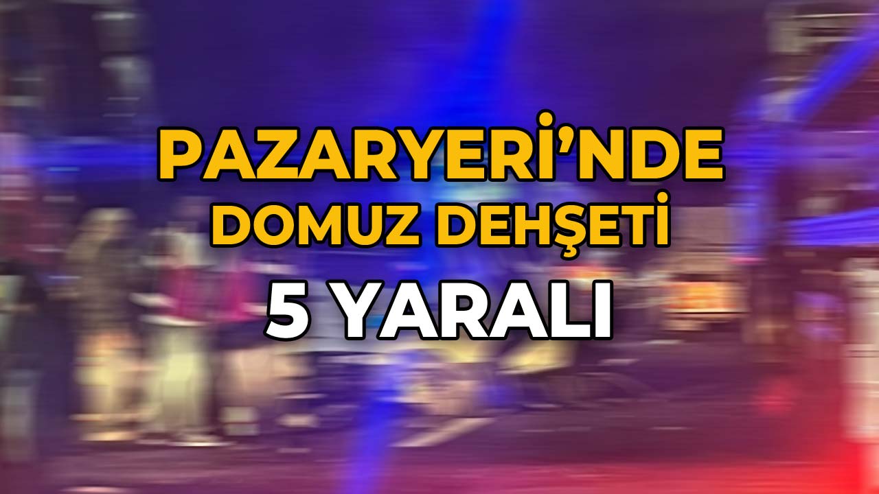Pazaryeri'nde Domuz Dehşeti 5 Yaralı