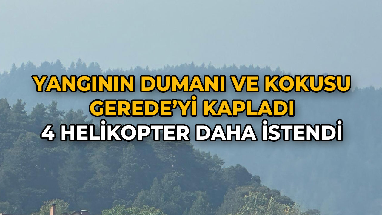 Yangının Dumanı ve Kokusu Gerede'yi Kapladı 4 Helikopter Daha İstendi