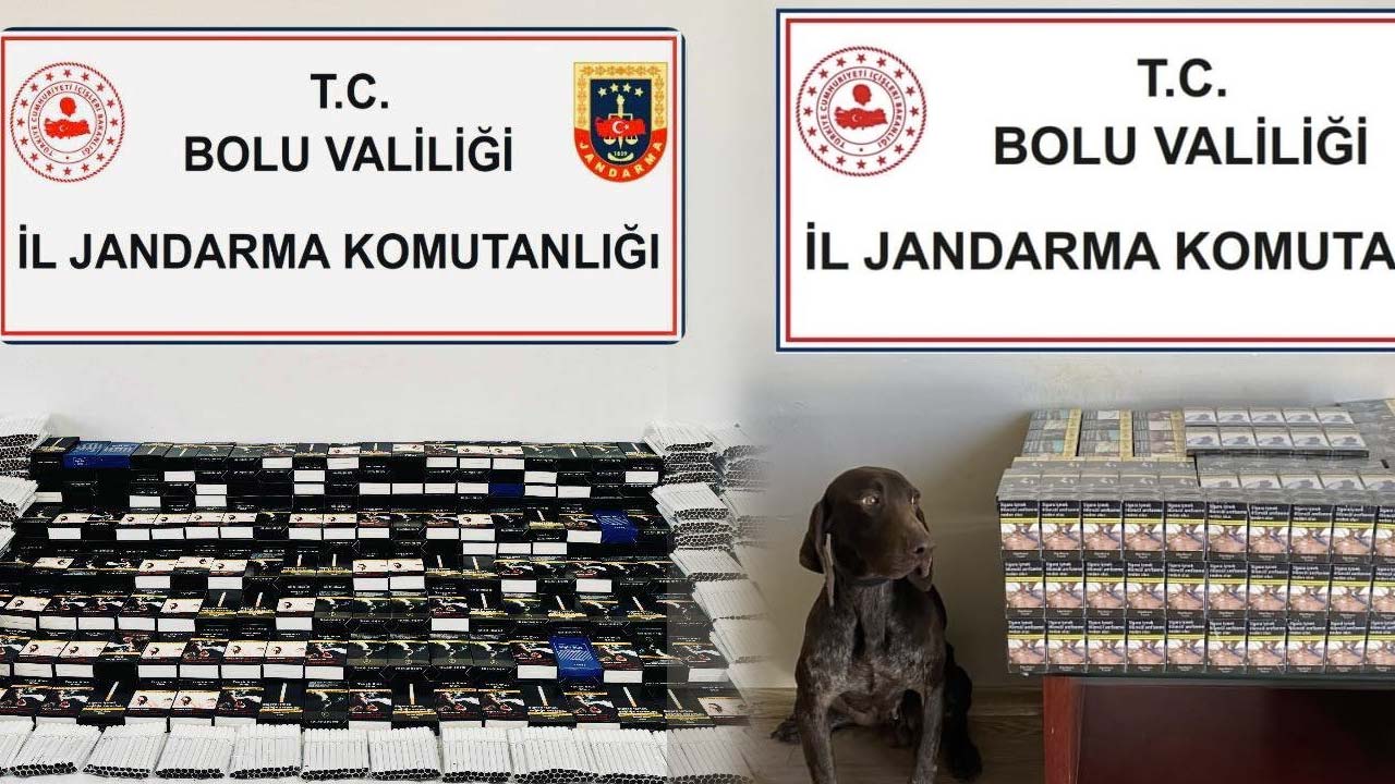 Yeniçağa’da Şok Operasyon! Binlerce Ele Geçirildi2