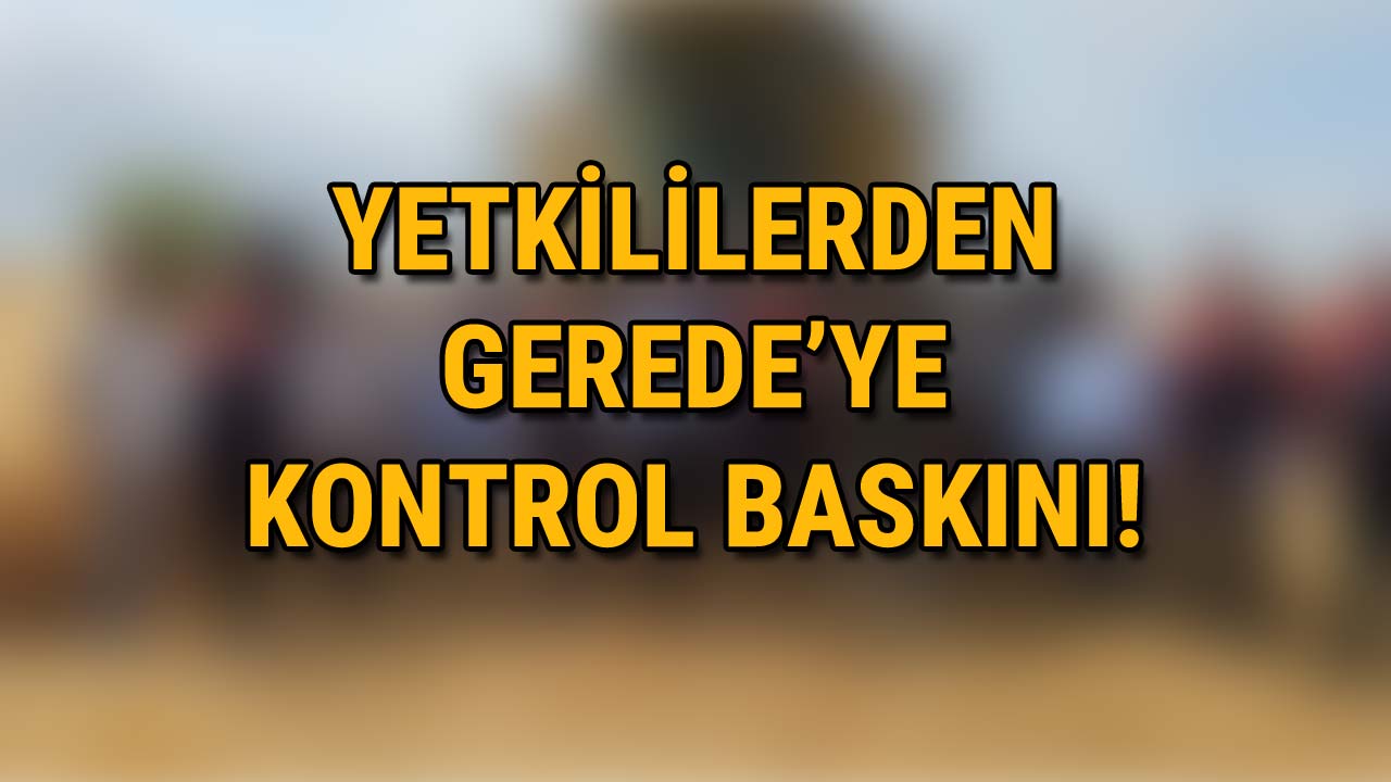 Yetkililerden Gerede’ye Kontrol Baskını