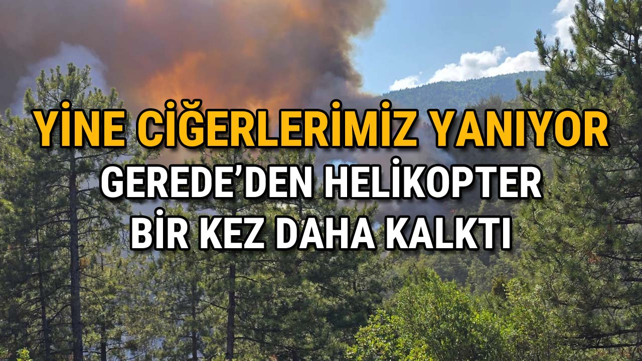 Yine Ciğerlerimiz Yanıyor Gerede'den Helikopter Bir Sefer Daha Kalktı