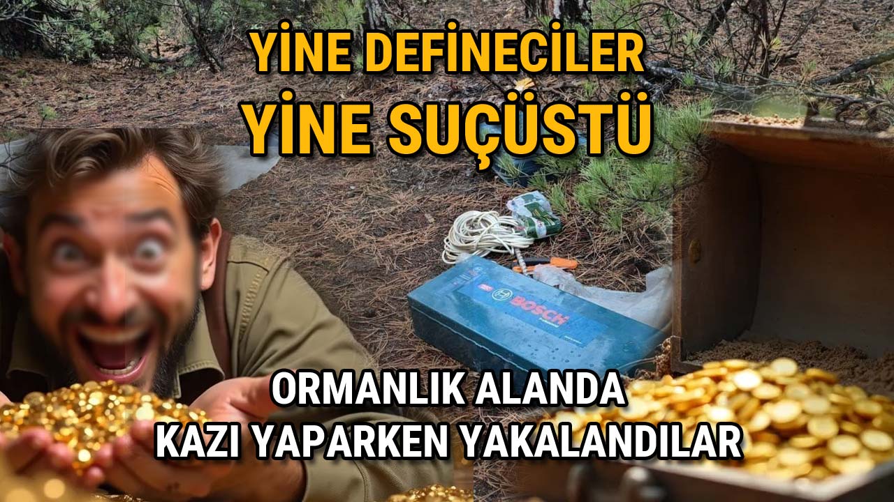 Yine Defineciler, Yine Suçüstü Ormanlık Alanda Kazı Yaparken Yakalandılar