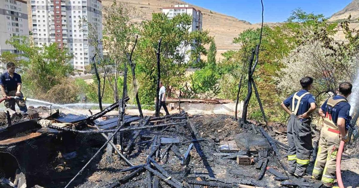 ankara mamakta yangin 33 kanatli hayvan telef oldu velvRaG8.jpg