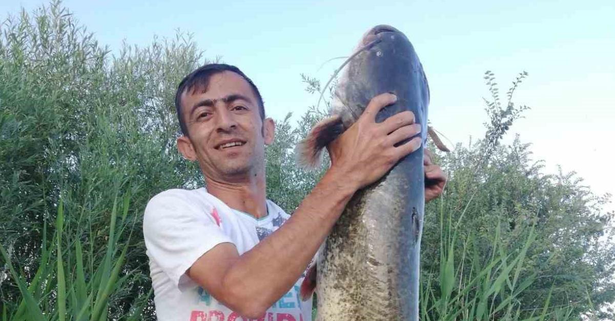 ankara polatlida 68 kilogramlik dev yayin baligi yakalandi CWbP9xch.jpg
