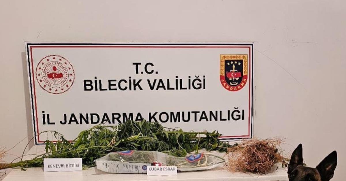 bilecikte uyusturucu operasyonu iki gozalti QNbefGJ5.jpg