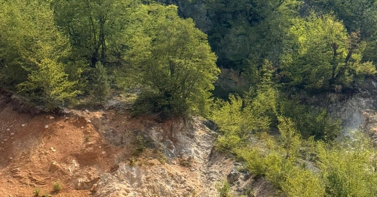 duzcede kaybolan cesur kopek 3 gun sonra kurtarildi jq4Znrwp.jpg